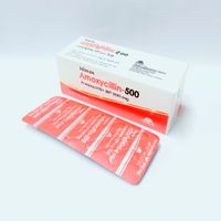 Amoxycillin 500 500mg Capsule
